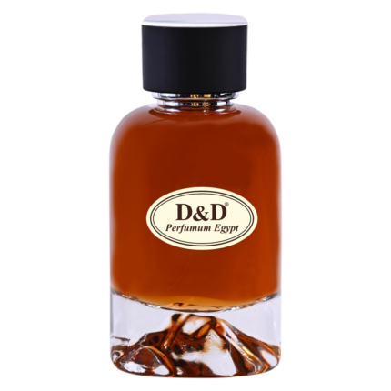 Cinéma Yves Saint Laurent C27